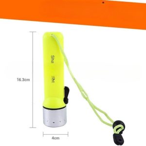 den-pin-lan-bien-pin-thuong-20m